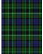 Lloyd Clan Tartan Kilt